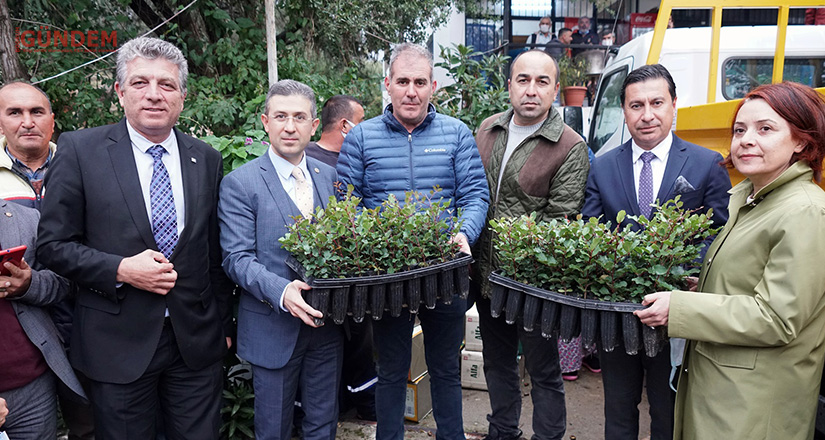 Üreticilere 20 bin adet keçiboynuzu fidanı dağıtıldı
