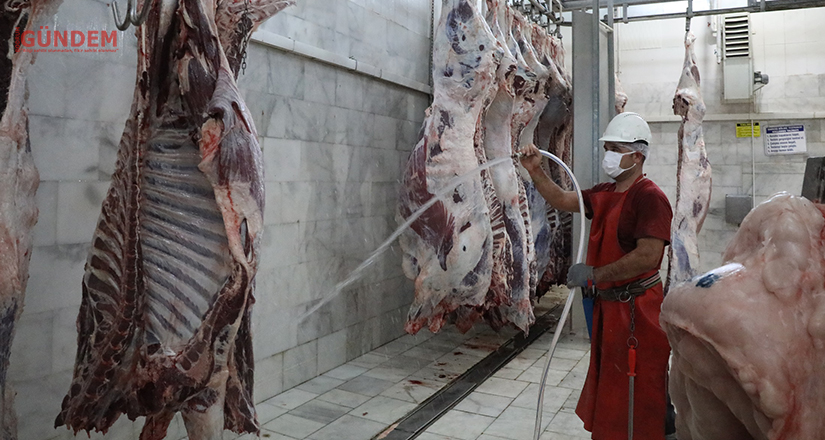 2021 Yılında Büyükşehir Mezbahalarında 5 Milyon 671 Bin kg. Et Üretildi