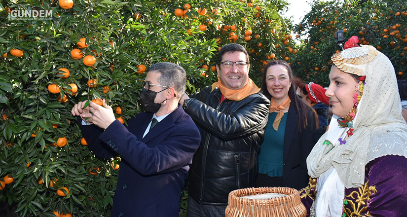 Bodrum mandalina festivaline ilgi büyük oldu