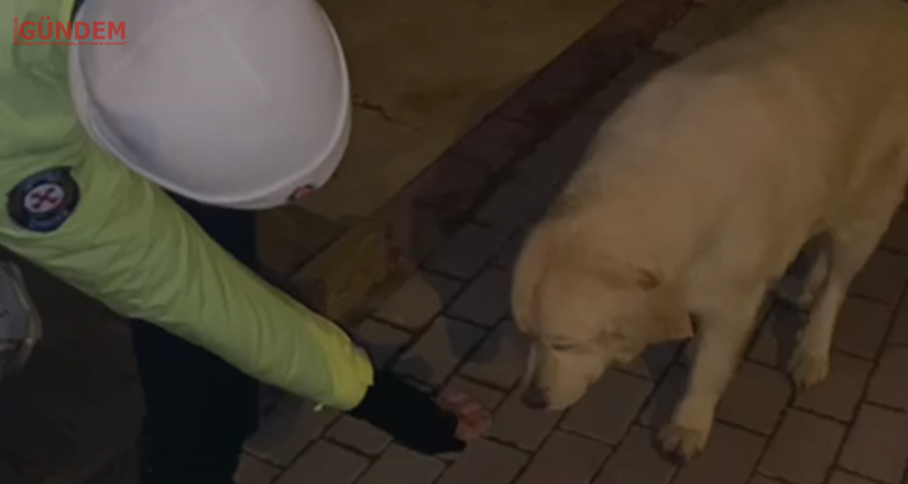 Emniyet mensupları vatandaşın ve can dostlarının yanında
