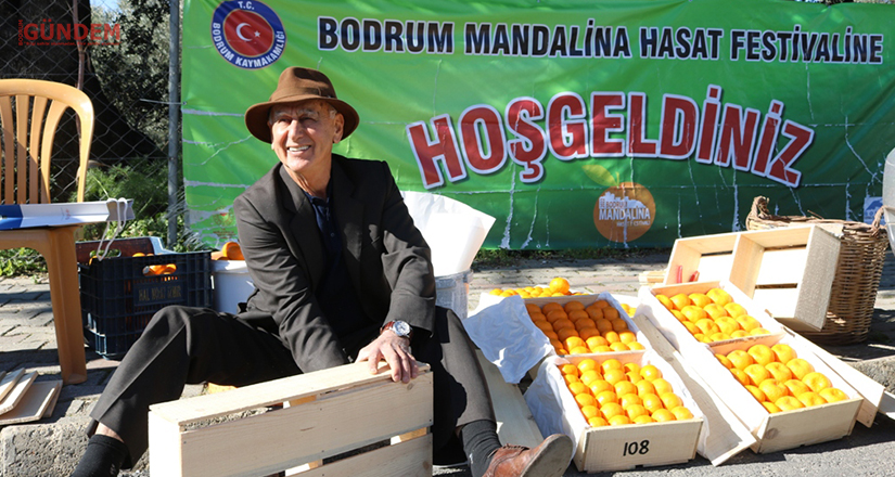 Mandalina Hasat Festivali gerçekleştirildi