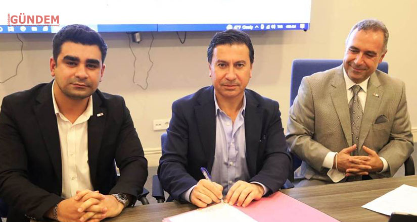 Sokak hayvanları için ortak proje