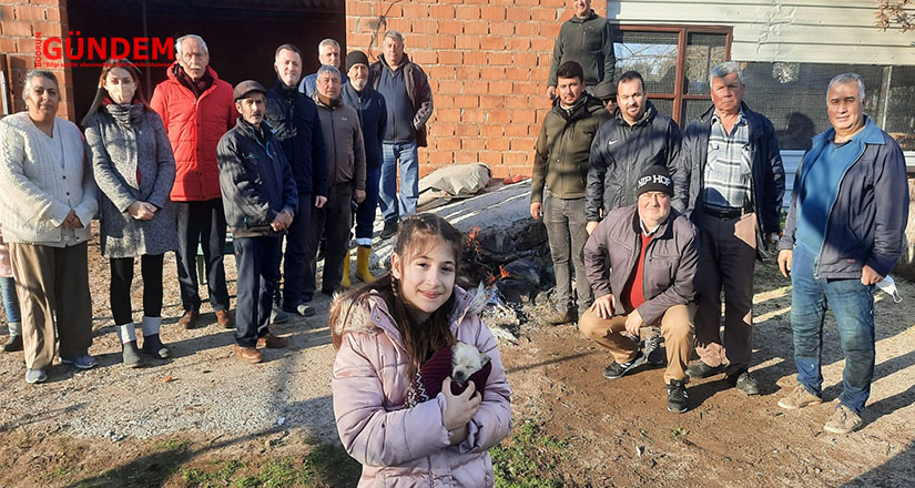 Yalıkavaklılar köpek saldırılarına isyan etti