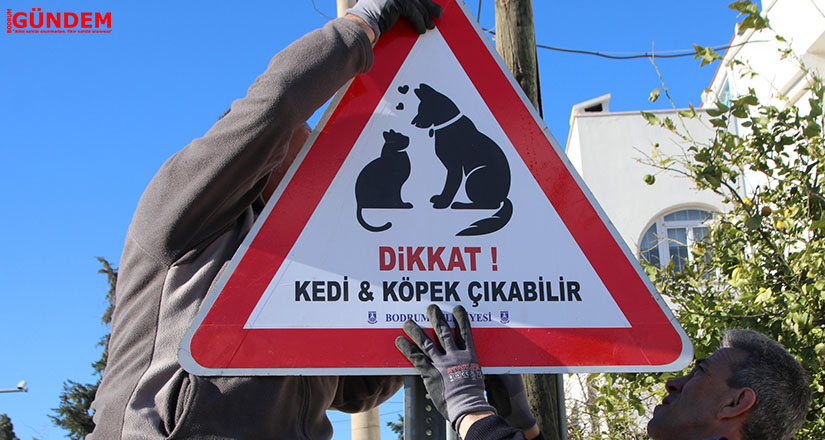 Bodrum Belediyesinden canlar için tabela