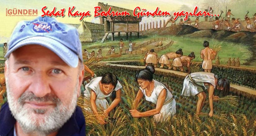 Savaşsız Bir Dünya