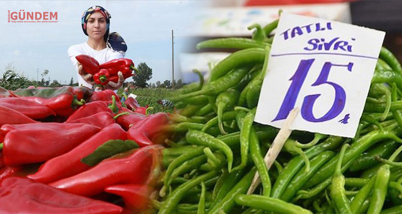 Tarlada bir lira markette beş lira