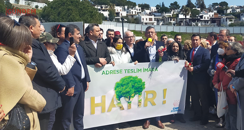 Ak-Tur ağaç katliamına tepkiler büyüyor