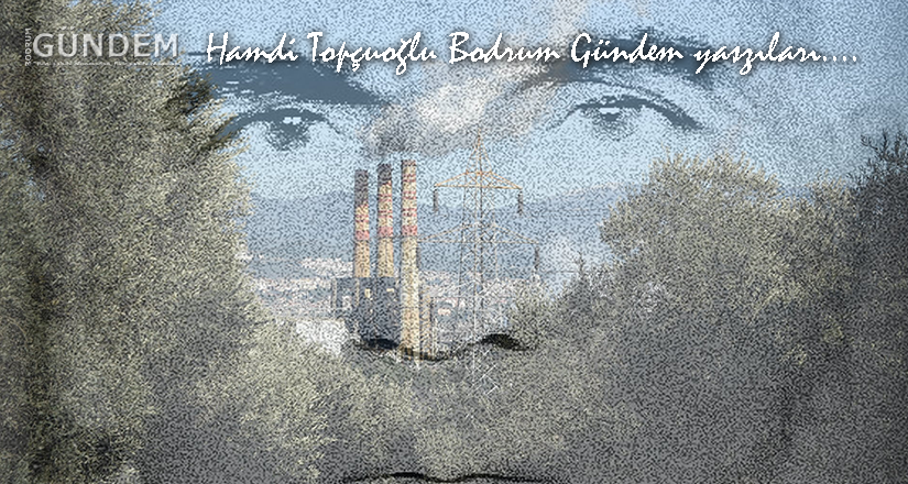 Zeytin Adama Mektup