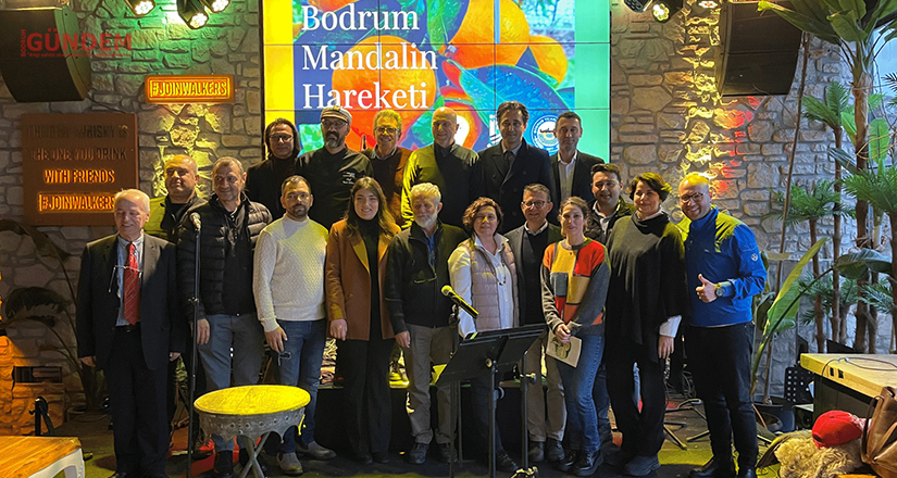 Bodrum’da mandalina hareketi başladı