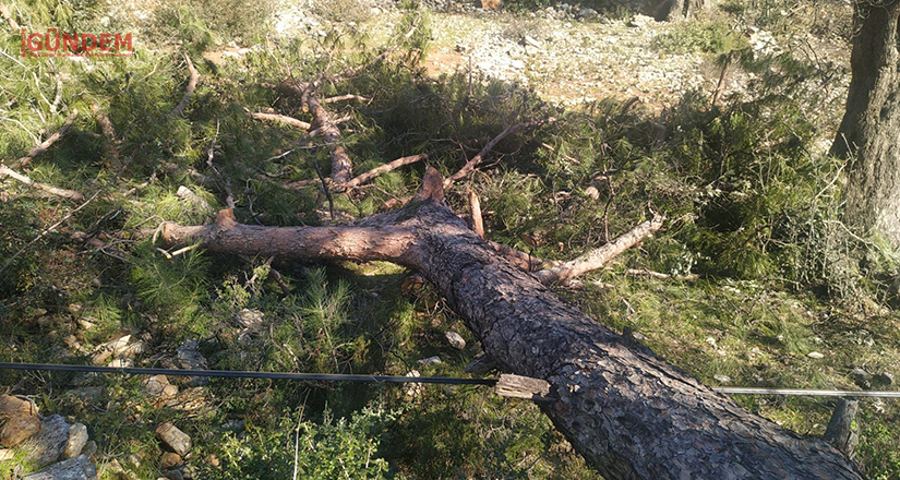 Bunun adı vicdansızlıktır, toprağa ve vatana ihanettir