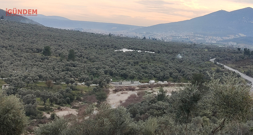 Maden Yönetmeliğine Eklenen Madde, Zeytinlik Alanların İdam Fermanıdır