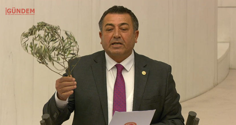 Zeytincilikle ilgili önerge AKP ve MHP oylarıyla reddedildi