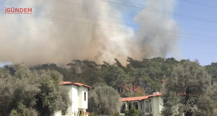 Son Dakika! Göcek’te yangın 13:15