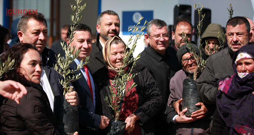 Yangında Zarar Gören Üreticiye 3500 Adet Zeytin Fidanı Hibe Edildi