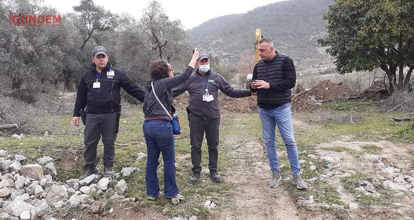Zeytinlikler kanuna aykırı olarak sökülüyor