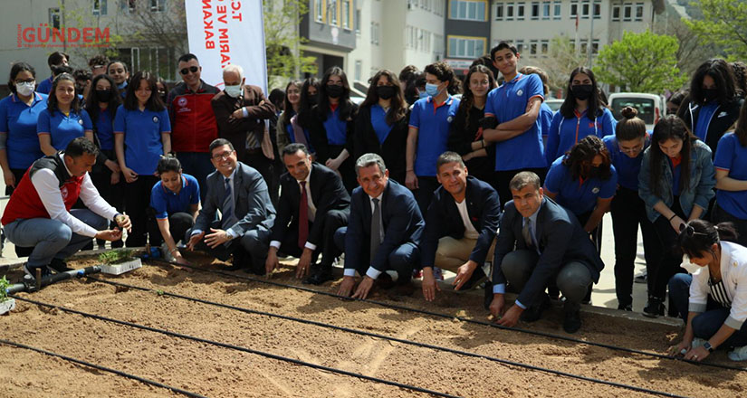 1963’ten Günümüze Ata Tohumlarından Üretilen 50 Bin Fide Toprakla Buluştu