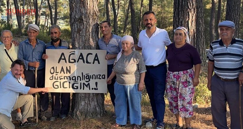AKP yeter artık elini Akbelen’den çek, kirli elini Muğla’dan çek