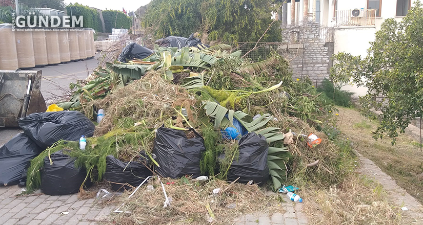 Bodrum Belediyesi Acımadı 600 Bin Lira Ceza Kesti