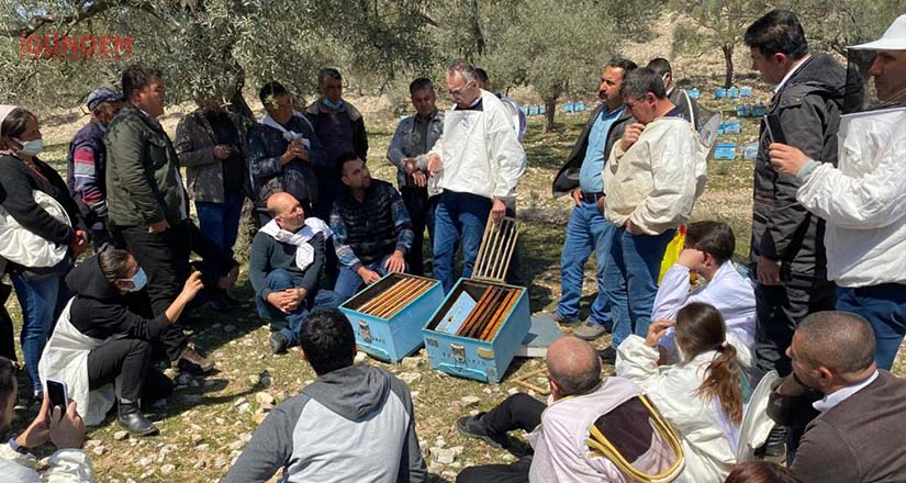 Milas Belediyesinin üreticilere desteği sürüyor