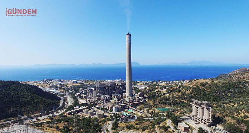 Zeytin ağaçları kesilmesiyle ilgili açıklama