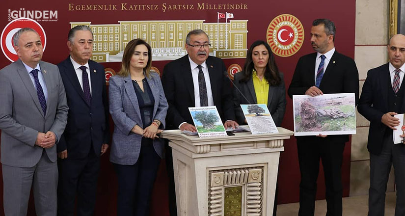 Zeytin üreten illerin CHP’li vekilleri Danıştay’a yürütmeyi durdurma çağrısı yaptı