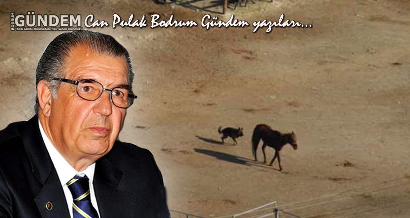 Yine Çevre Yine İmar – Can Pulak Bodrum Gündem yazıları…