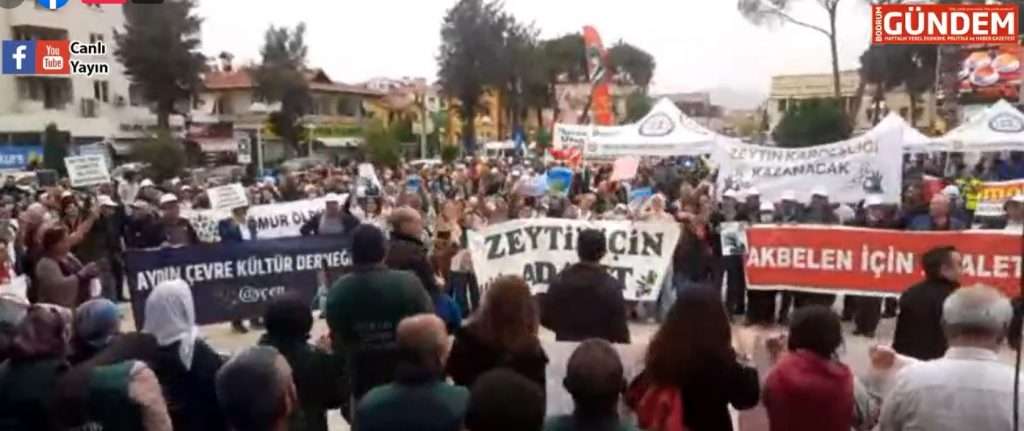 Milas’ta Zeytinime Dokunma mitingi yapılıyor CANLI YAYIN
