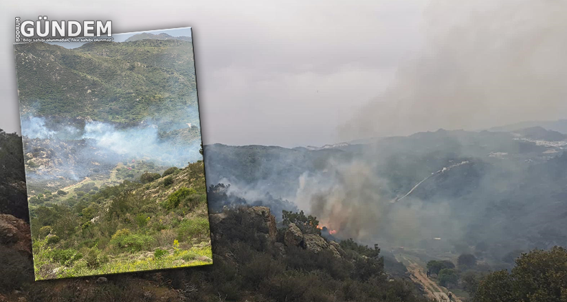 Bodrum Yakaköy’de çıkan Yangın kontrol altına alındı