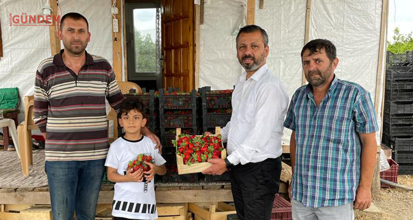 Köyceğiz çileğini dünya markası haline getirebiliriz