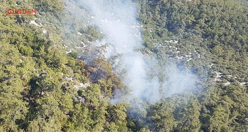 Milas Karacaağaç köyü yakınlarında orman yangını