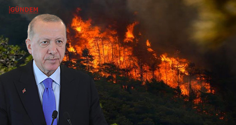 Yangından zarar gören alanlar yeniden ihya edilecek