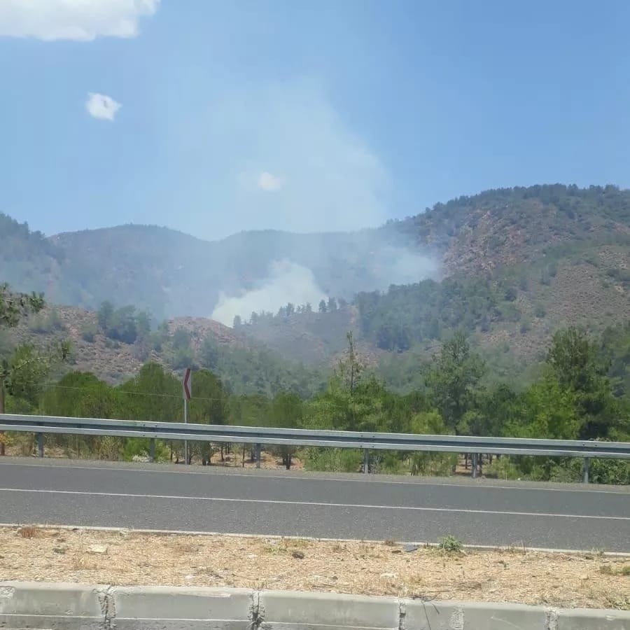 Köyceğiz’de de orman yangını çıktı