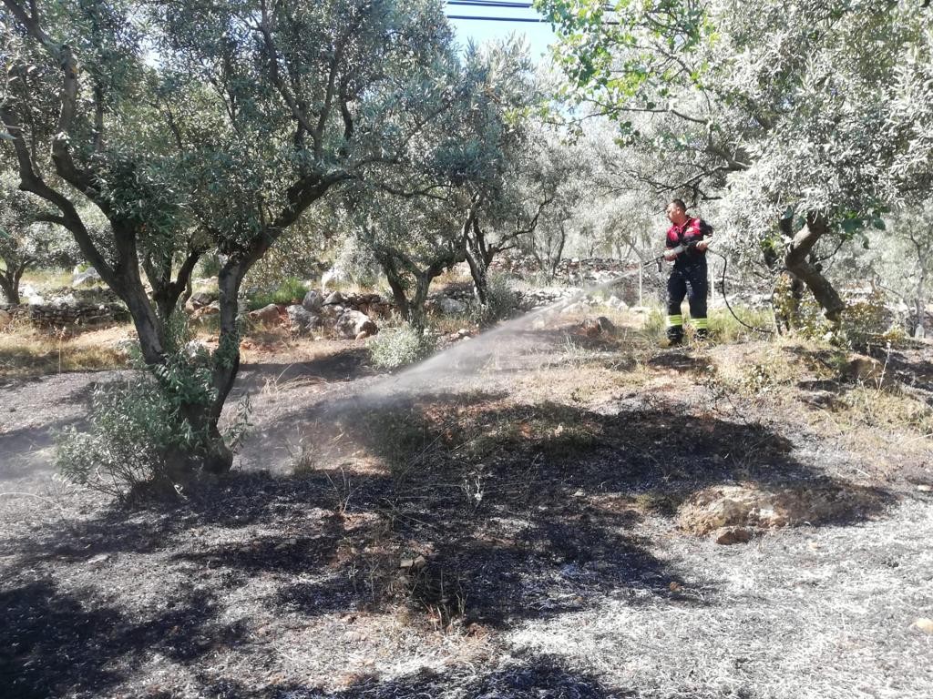 Menteşe’de zeytinlik yangını