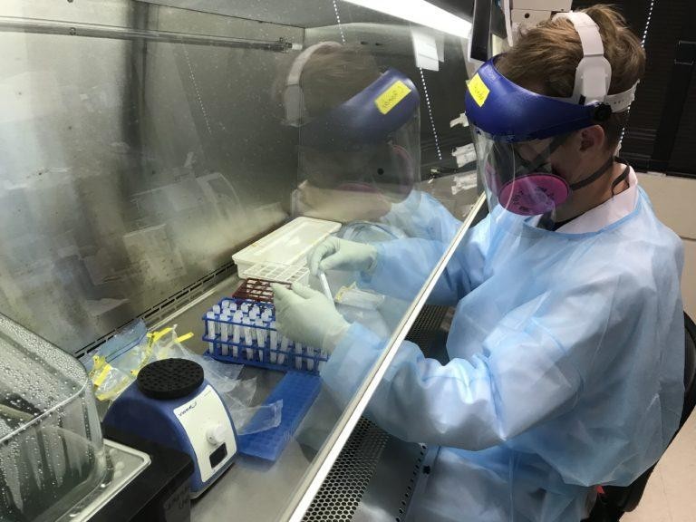 Tayland’da kediden insana geçen ilk Covid-19 vakası