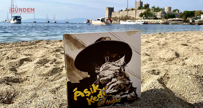 Âşık Kedi Milta Bodrum Marina’da