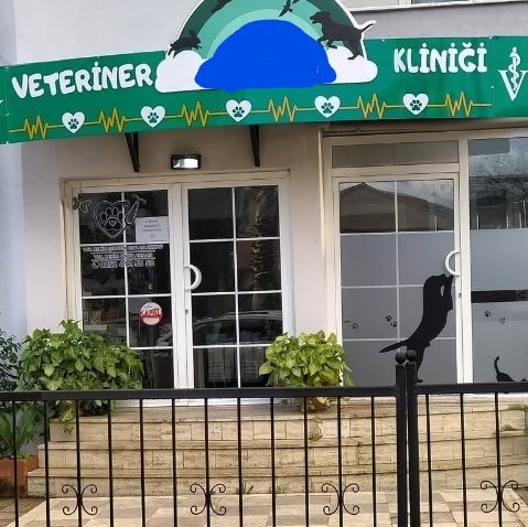 Bacağı kırılan köpek veterinerde öldü