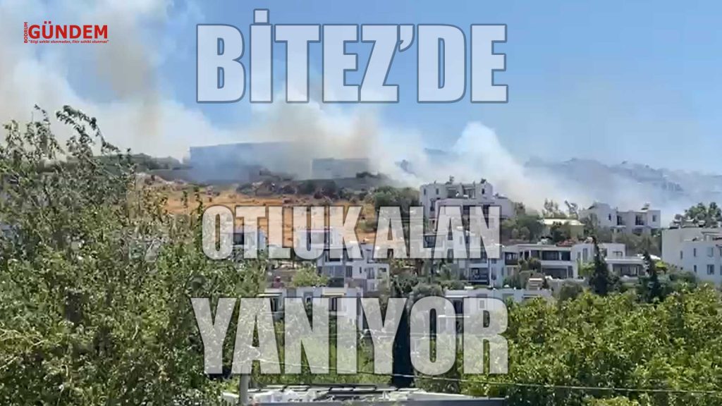Bitez’de Yangın SON DAKİKA BODRUM