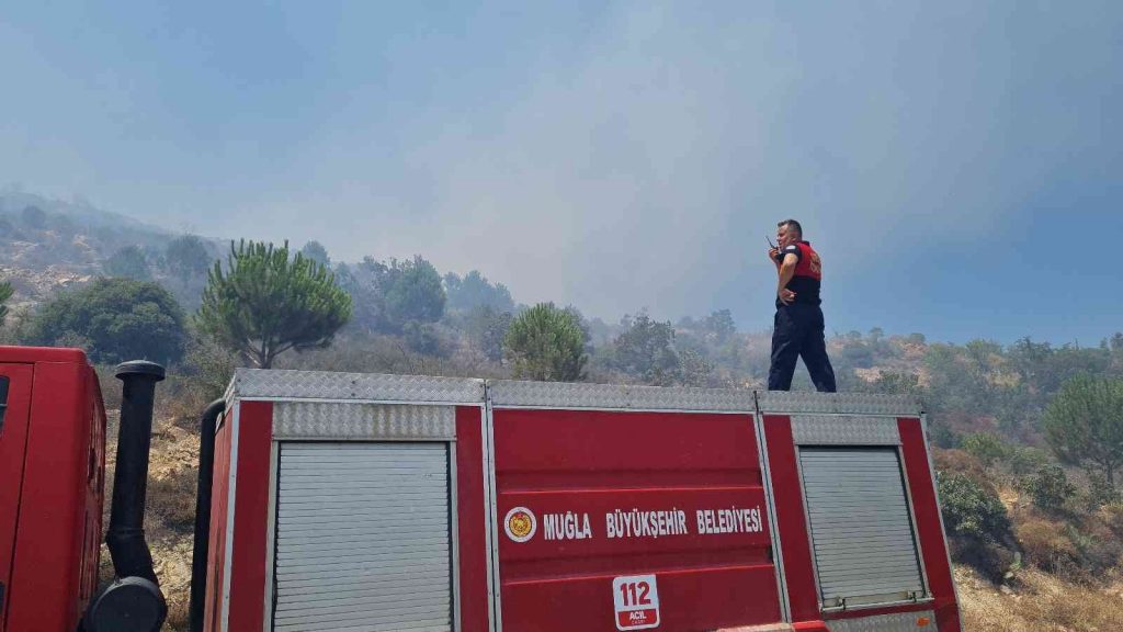 Bodrum’da makilik alanda yangın çıktı