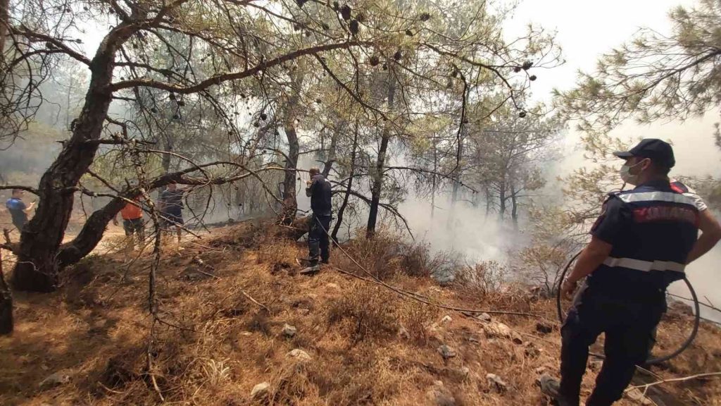 Datça’daki orman yangınına kolluk kuvvetleri de müdahale etti