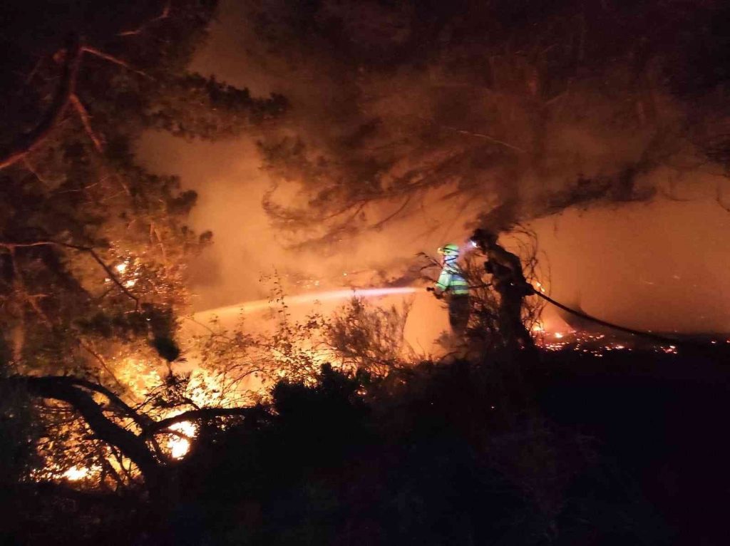 İspanya’daki orman yangınında alevlerden koşarak kurtuldu