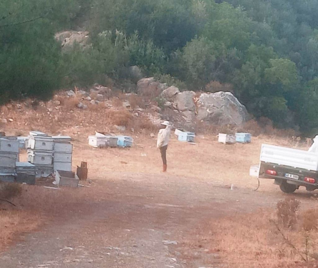 Muğla İl Tarım ve Orman Müdürlüğü yangın bölgesinde