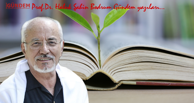 Ben zaten her şeyi biliyorum