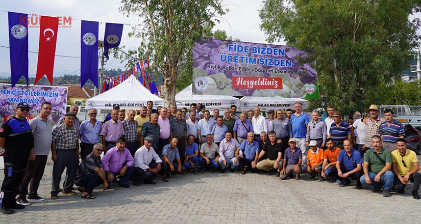 Milas Belediyesi’nden üreticilere fide desteği