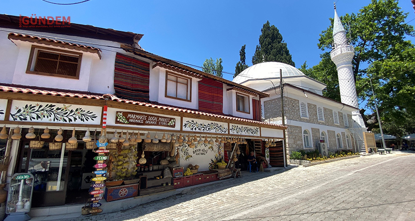 Yangından Etkilenen Orman Köylerinde Umutlar Yeşeriyor