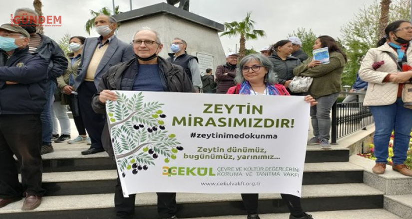 Zeytinlikleri Madenciliğe Açan Yönetmelik Değişikliği İptal Edilmeli