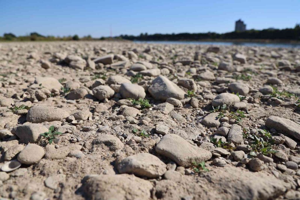 Almanya’da Ren Nehri’nin su seviyesinde ciddi düşüş