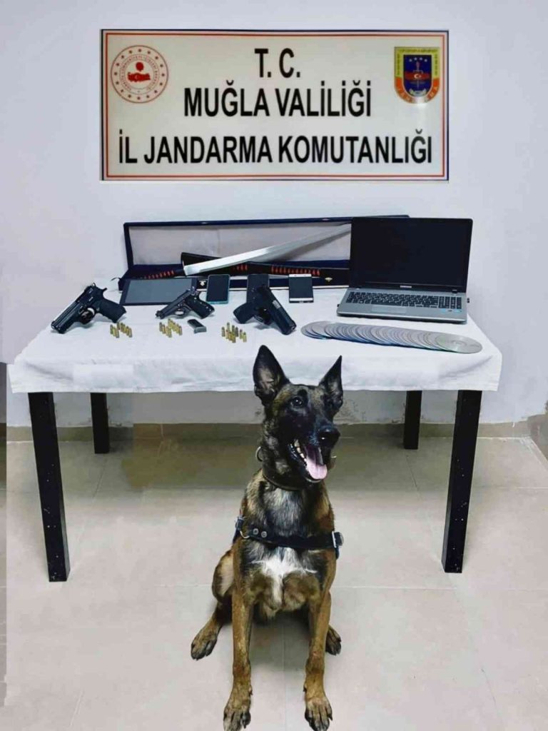 Aranan şahsın evinden cephanelik çıktı