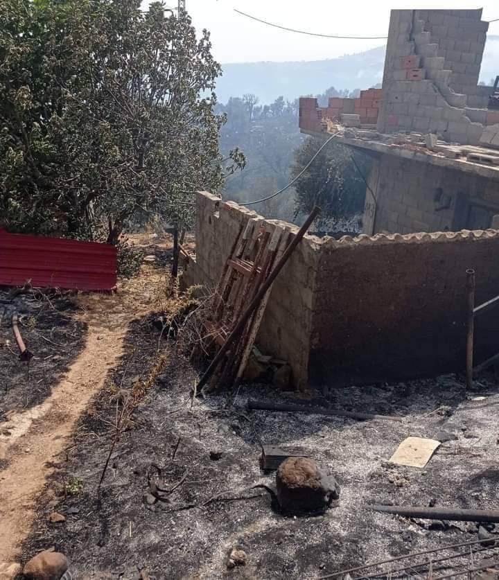 Cezayir’de 26 noktada orman yangını: 2 ölü, 42 yaralı