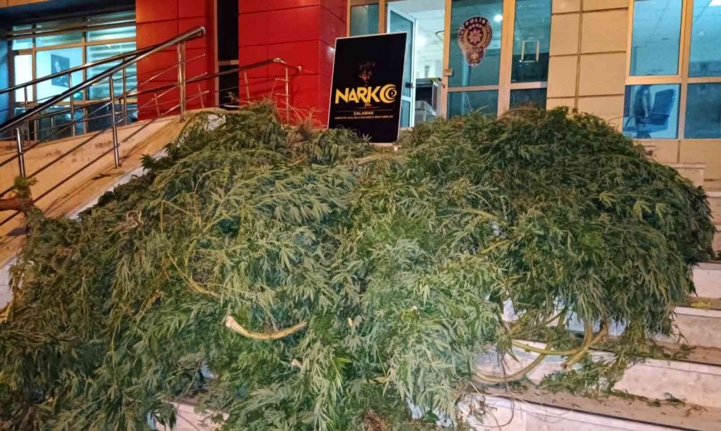 Seraya uyuşturucuya baskını