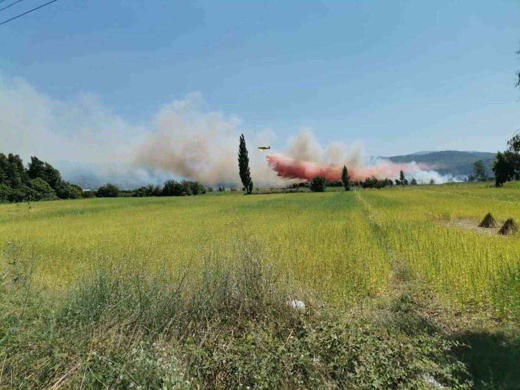 Muğla’da tarım arazinde yangın çıktı